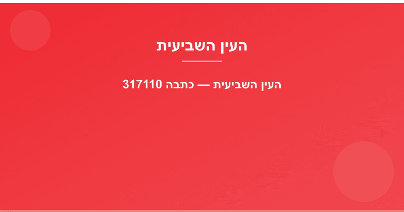 העין השביעית — כתבה 317110